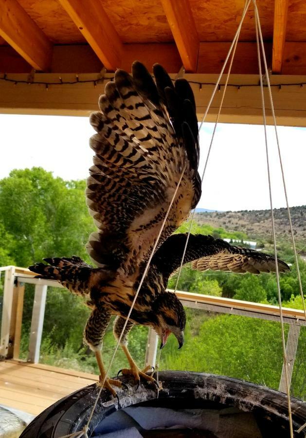 Cave, Yurt, Bubble And Other Glamping Adventures Hotel Sedona Luaran gambar